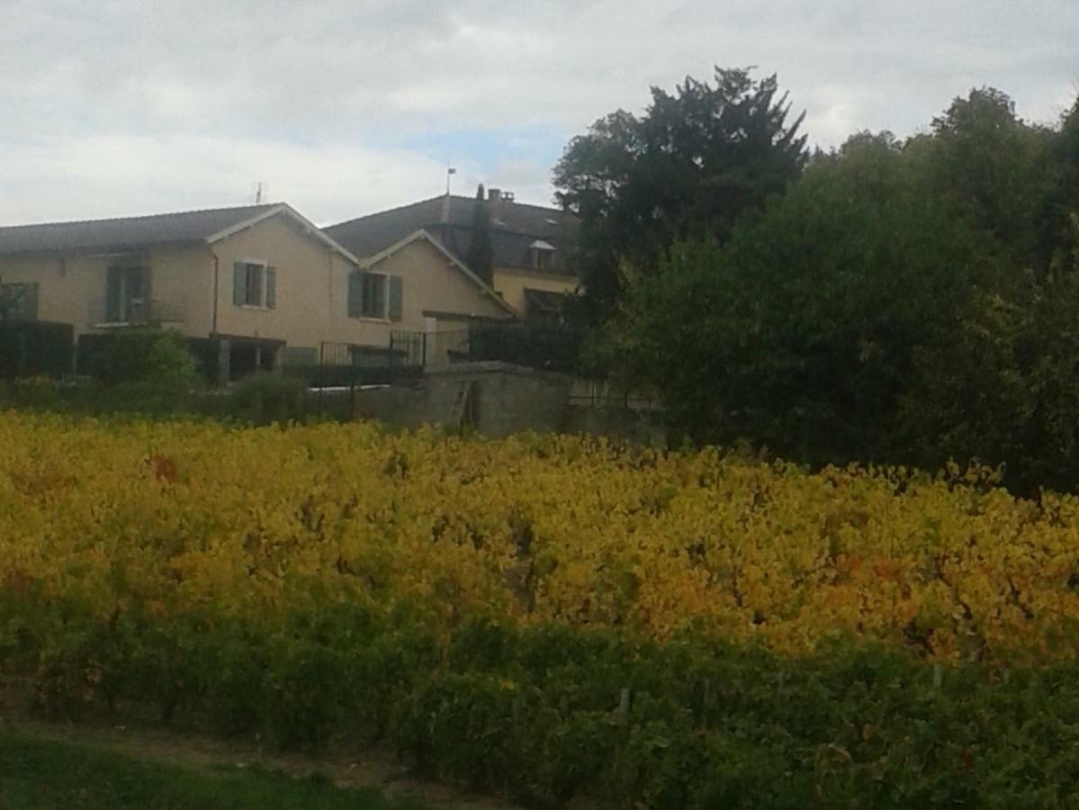 La Maison des Vignes - petits déjeuners continental Charentay Exterior foto