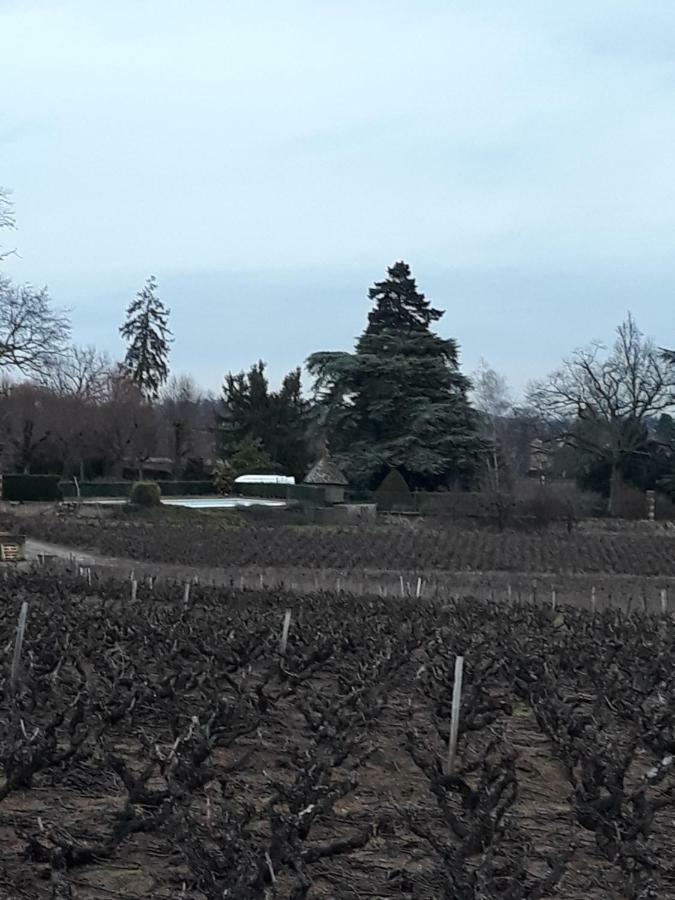 La Maison des Vignes - petits déjeuners continental Charentay Exterior foto